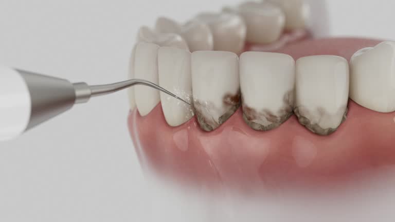 Reliable Dental contractor in Sylvan Lake, MI by Dentist Open Now